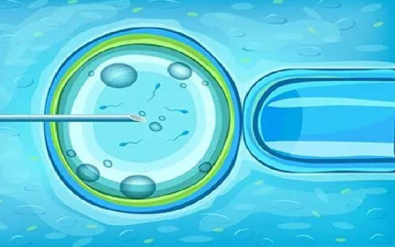 试管旋盖贴标机代生